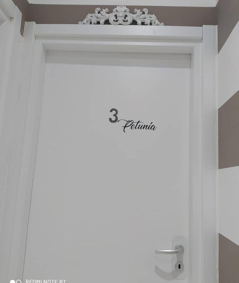 Le Camere Dei Fiori Sanremo Exterior foto
